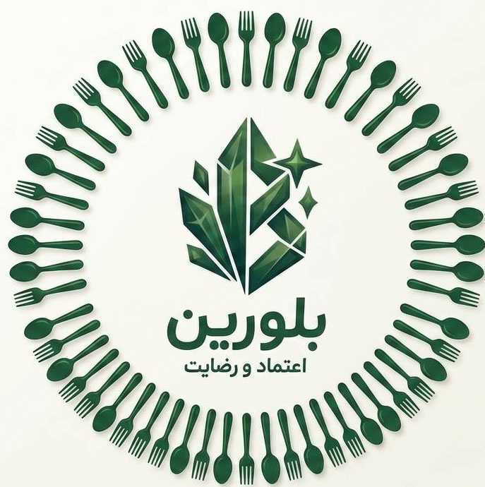 فروشگاه اینترنتی لوازم خانگی بلــــــــوریــن